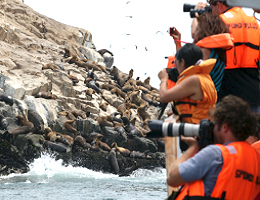 Excursión Islas Palomino